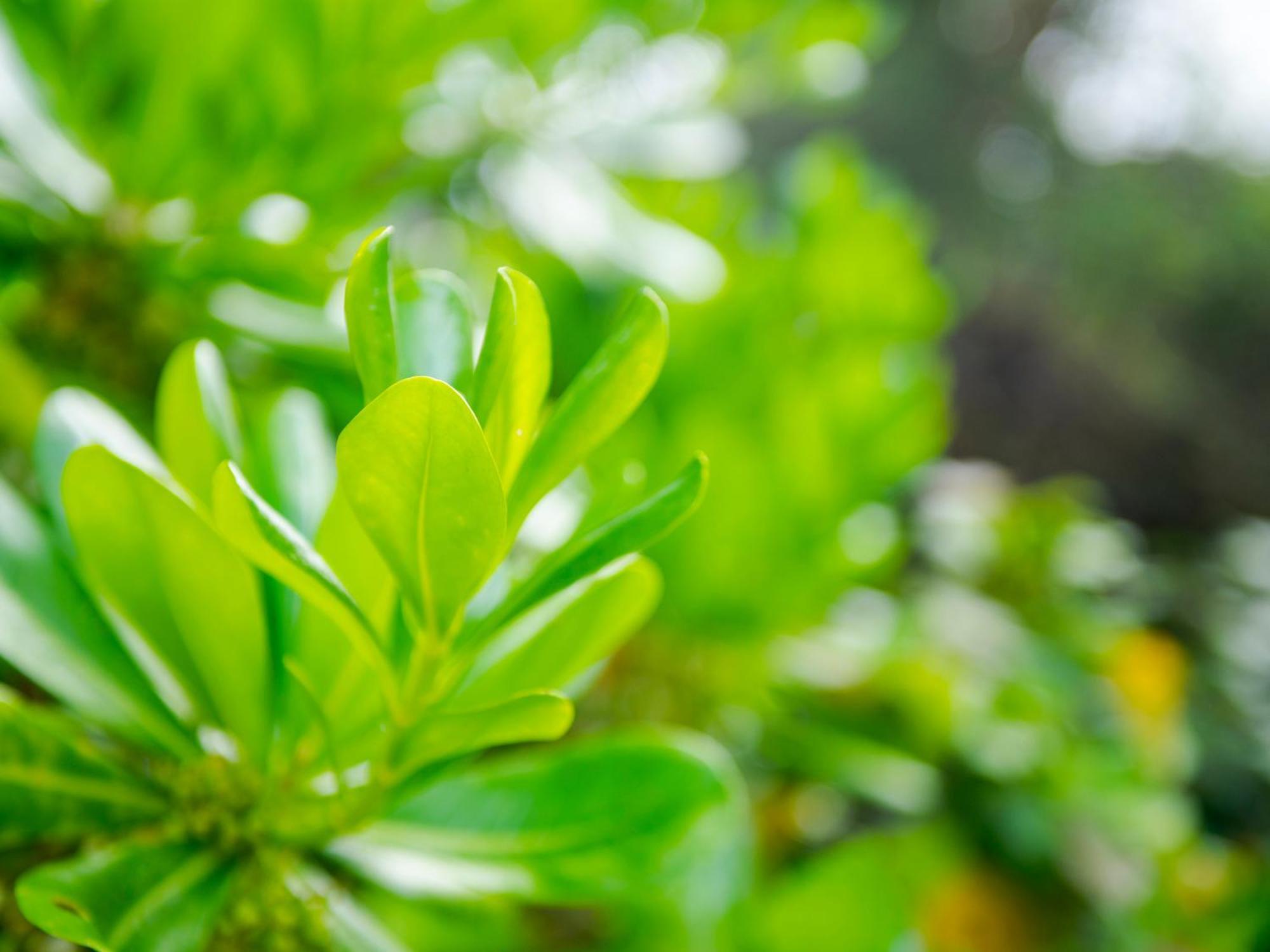 Umi No Terrace Yomitan Toya Hotel Ngoại thất bức ảnh