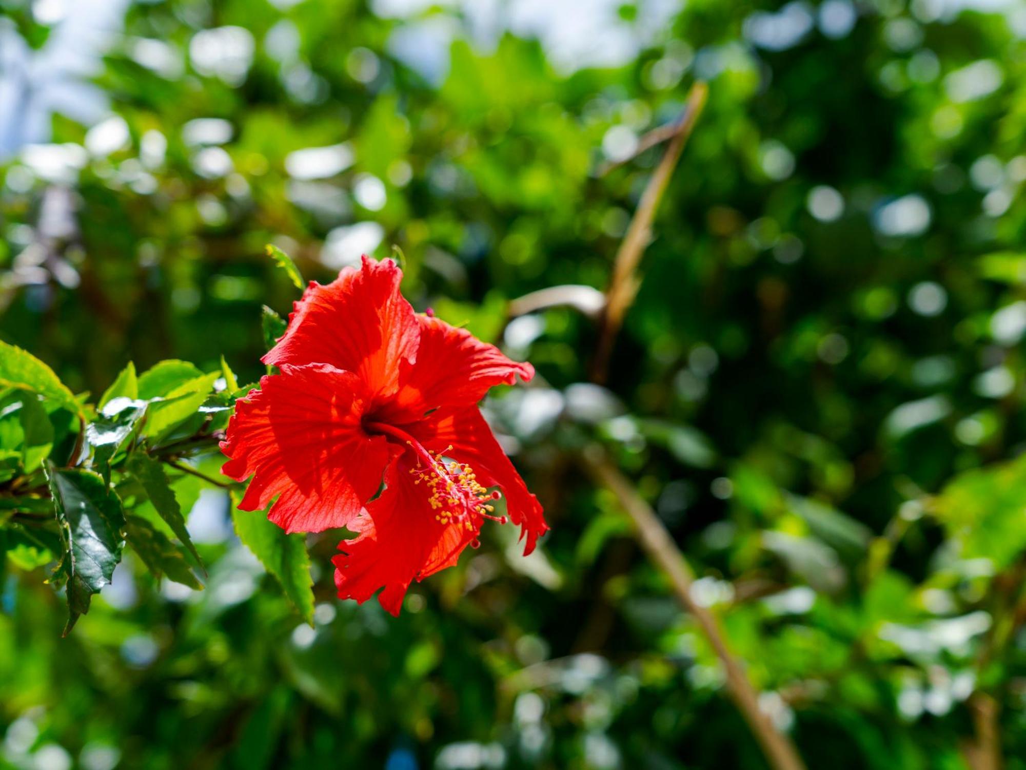 Umi No Terrace Yomitan Toya Hotel Ngoại thất bức ảnh