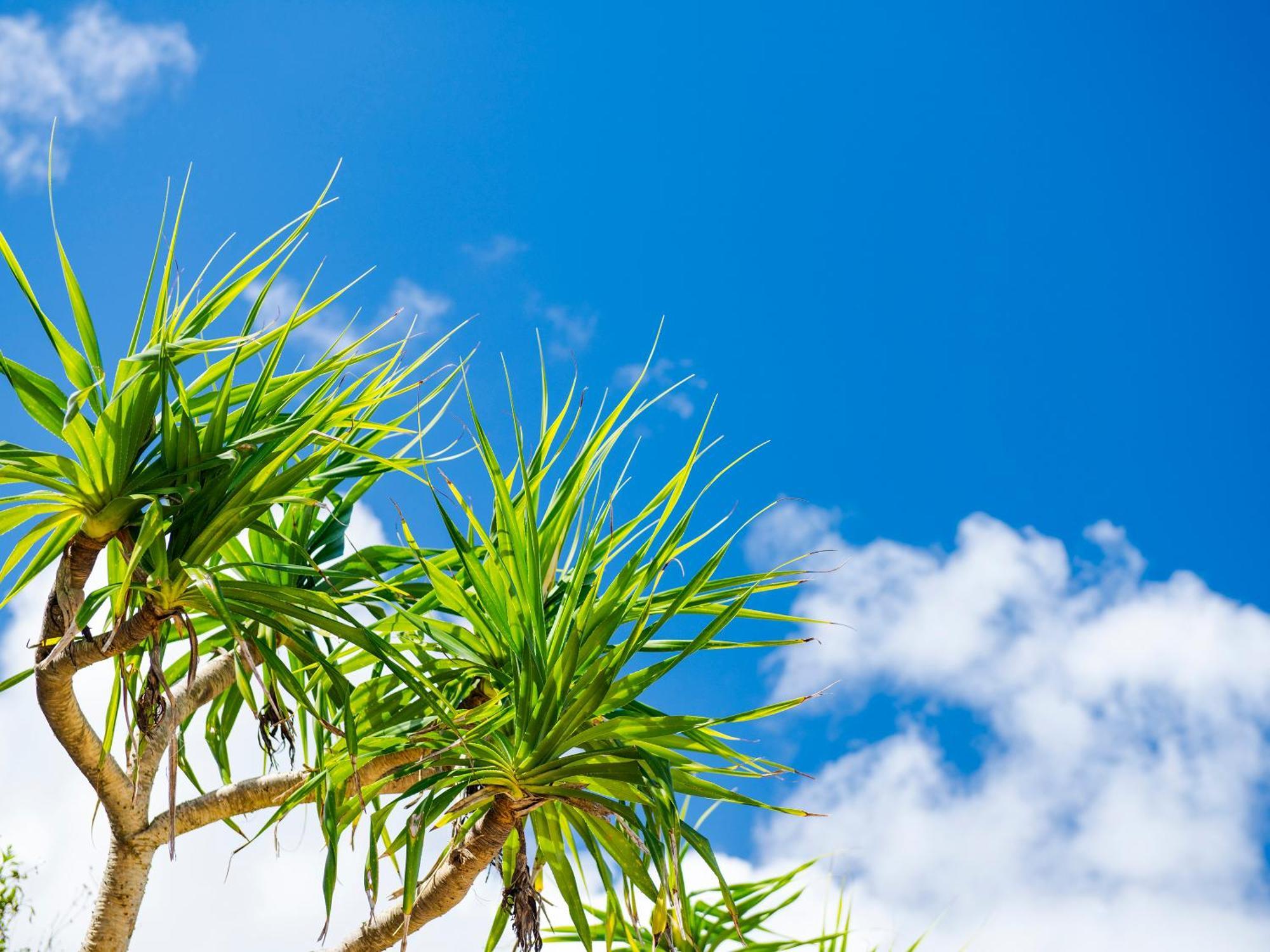 Umi No Terrace Yomitan Toya Hotel Ngoại thất bức ảnh